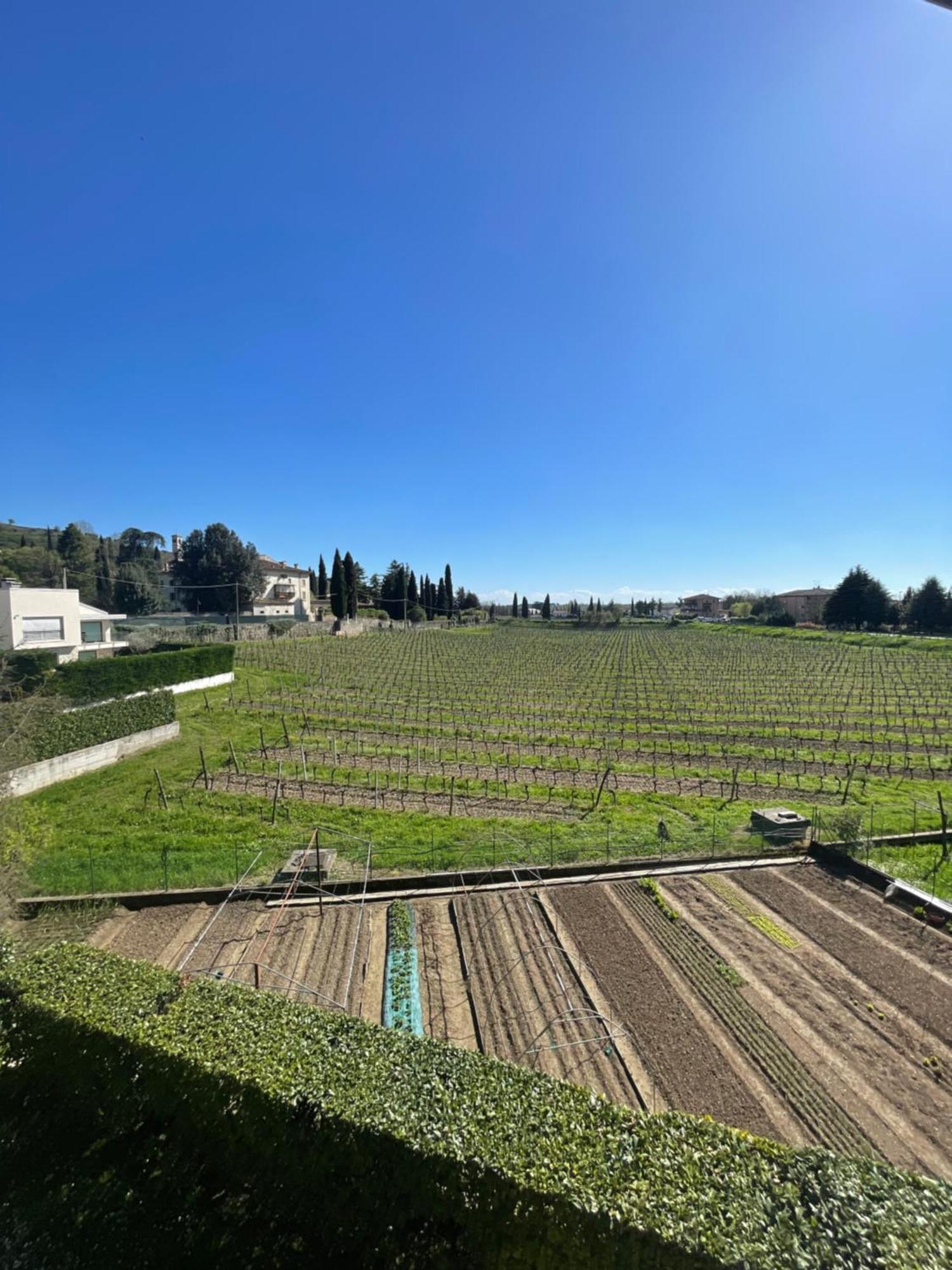 Casa San Francesco Daire Parona di Valpolicella Dış mekan fotoğraf